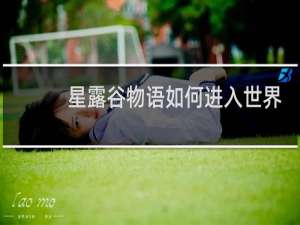 星露谷物语如何进入世界