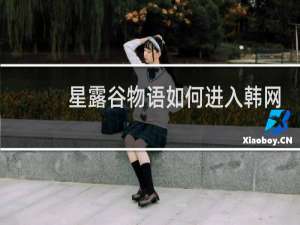 星露谷物语如何进入韩网