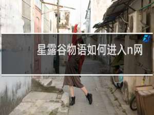 星露谷物语如何进入n网