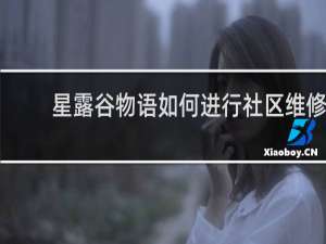 星露谷物语如何进行社区维修