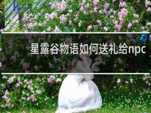 星露谷物语如何送礼给npc