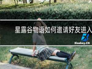 星露谷物语如何邀请好友进入