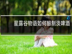 星露谷物语如何酿制淡啤酒