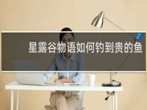 星露谷物语如何钓到贵的鱼