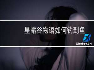 星露谷物语如何钓到鱼