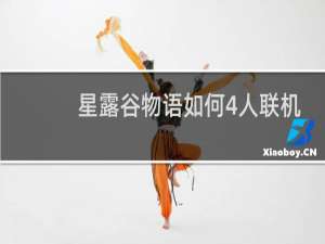 星露谷物语如何4人联机