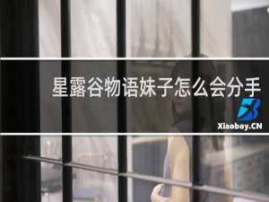 星露谷物语妹子怎么会分手