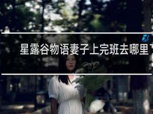 星露谷物语妻子上完班去哪里了