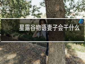 星露谷物语妻子会干什么