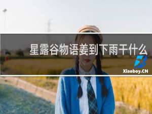 星露谷物语姜到下雨干什么