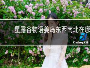 星露谷物语姜岛东西南北在哪