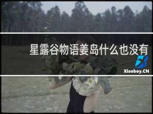 星露谷物语姜岛什么也没有