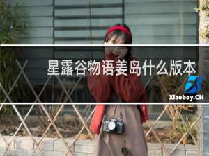 星露谷物语姜岛什么版本