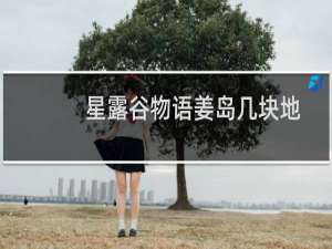 星露谷物语姜岛几块地