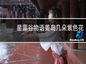 星露谷物语姜岛几朵紫色花