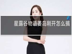 星露谷物语姜岛刚开怎么搞