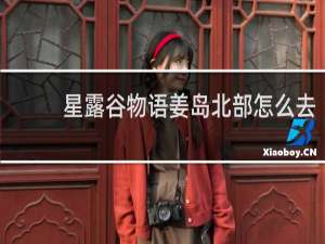 星露谷物语姜岛北部怎么去