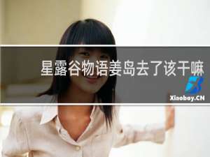 星露谷物语姜岛去了该干嘛