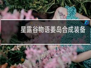 星露谷物语姜岛合成装备