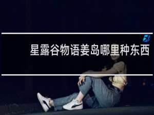 星露谷物语姜岛哪里种东西