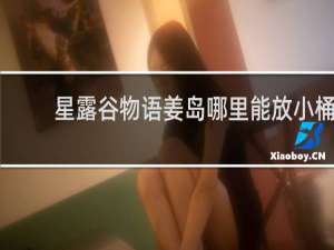 星露谷物语姜岛哪里能放小桶