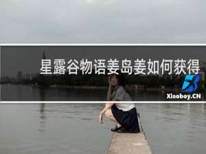 星露谷物语姜岛姜如何获得