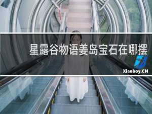 星露谷物语姜岛宝石在哪摆