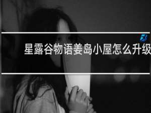 星露谷物语姜岛小屋怎么升级