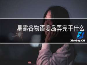 星露谷物语姜岛弄完干什么