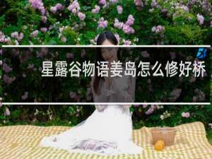 星露谷物语姜岛怎么修好桥
