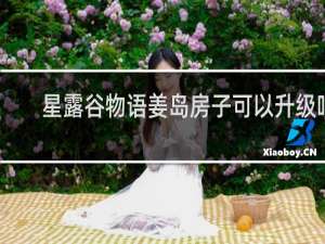 星露谷物语姜岛房子可以升级吗