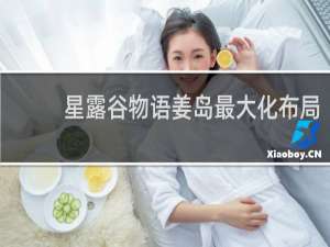 星露谷物语姜岛最大化布局