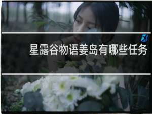 星露谷物语姜岛有哪些任务