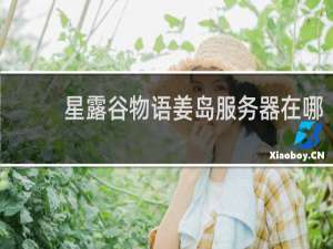 星露谷物语姜岛服务器在哪