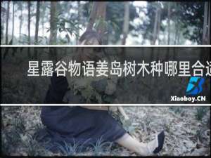 星露谷物语姜岛树木种哪里合适