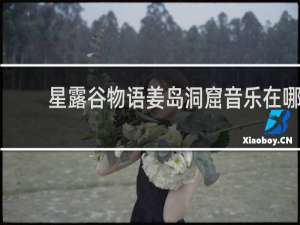 星露谷物语姜岛洞窟音乐在哪
