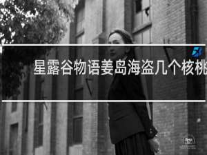 星露谷物语姜岛海盗几个核桃