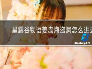 星露谷物语姜岛海盗洞怎么进去