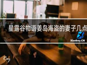 星露谷物语姜岛海盗的妻子几点在