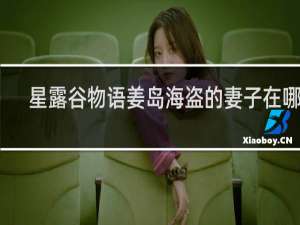 星露谷物语姜岛海盗的妻子在哪里
