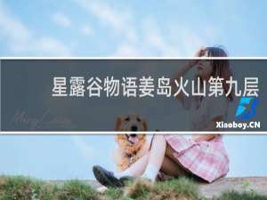 星露谷物语姜岛火山第九层
