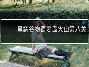星露谷物语姜岛火山第八关