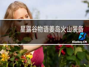星露谷物语姜岛火山装备