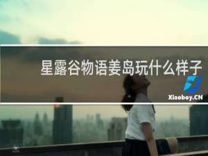 星露谷物语姜岛玩什么样子