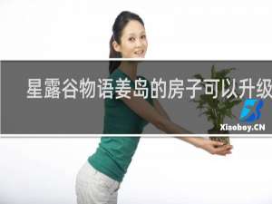 星露谷物语姜岛的房子可以升级吗