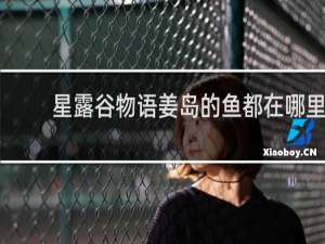 星露谷物语姜岛的鱼都在哪里