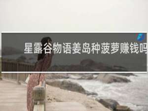 星露谷物语姜岛种菠萝赚钱吗