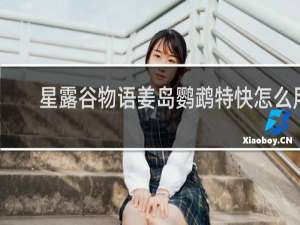 星露谷物语姜岛鹦鹉特快怎么用