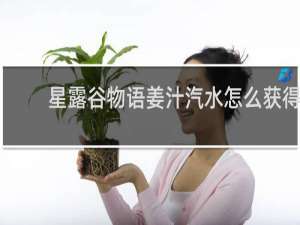 星露谷物语姜汁汽水怎么获得