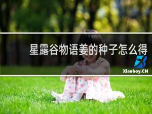 星露谷物语姜的种子怎么得